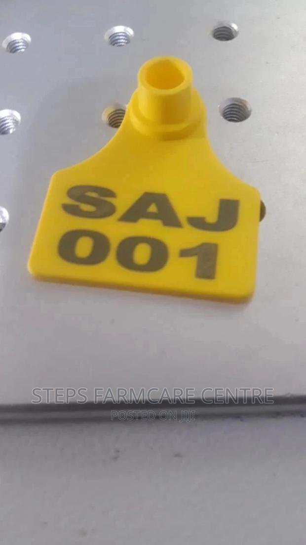 Animal Ear Tags Customized