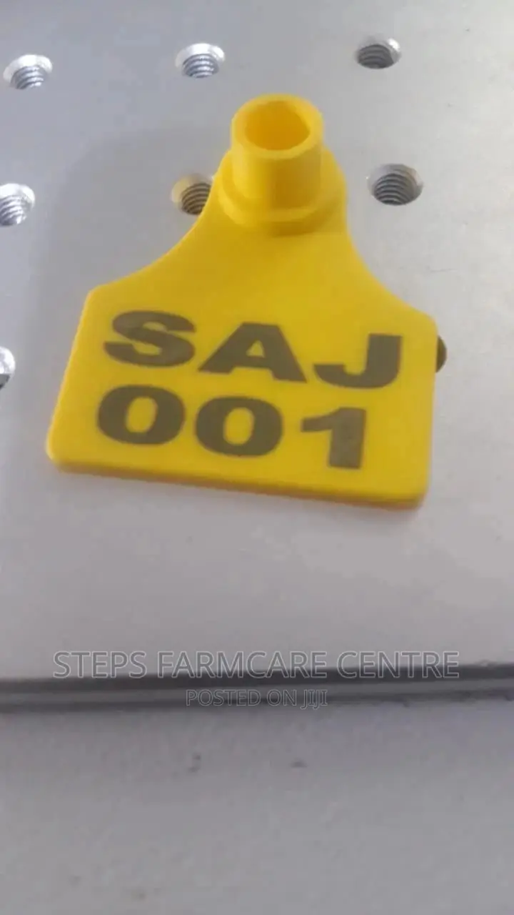 Animal Ear Tags Customized