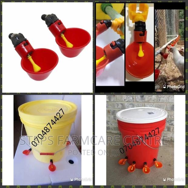 Automatic Chicken Cup Drinkers - main view