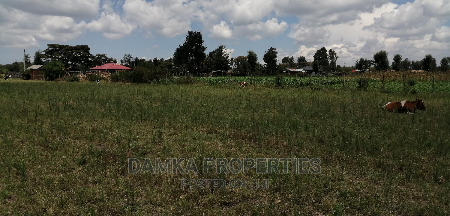 1/8 Acre Plot for Sale in Mang'u, Nakuru in Ngata Land & Plots for