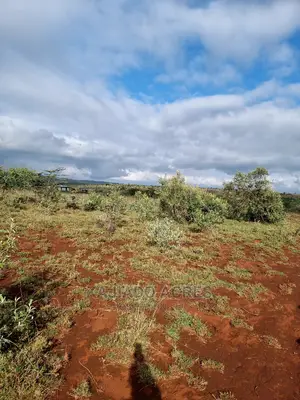 23 Acres Saikeri