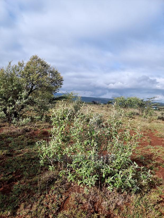 23 Acres Saikeri - thumbnail 4