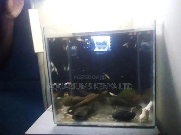 Small Home Aquarium. - main view