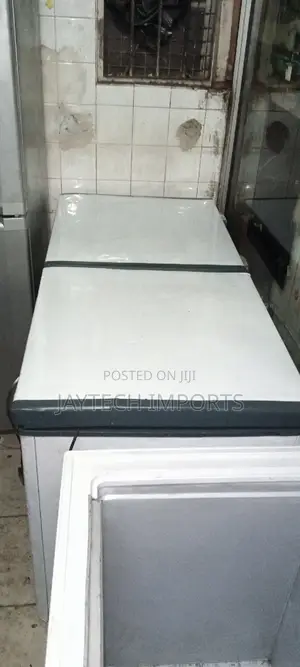Double Door Deep Freezer