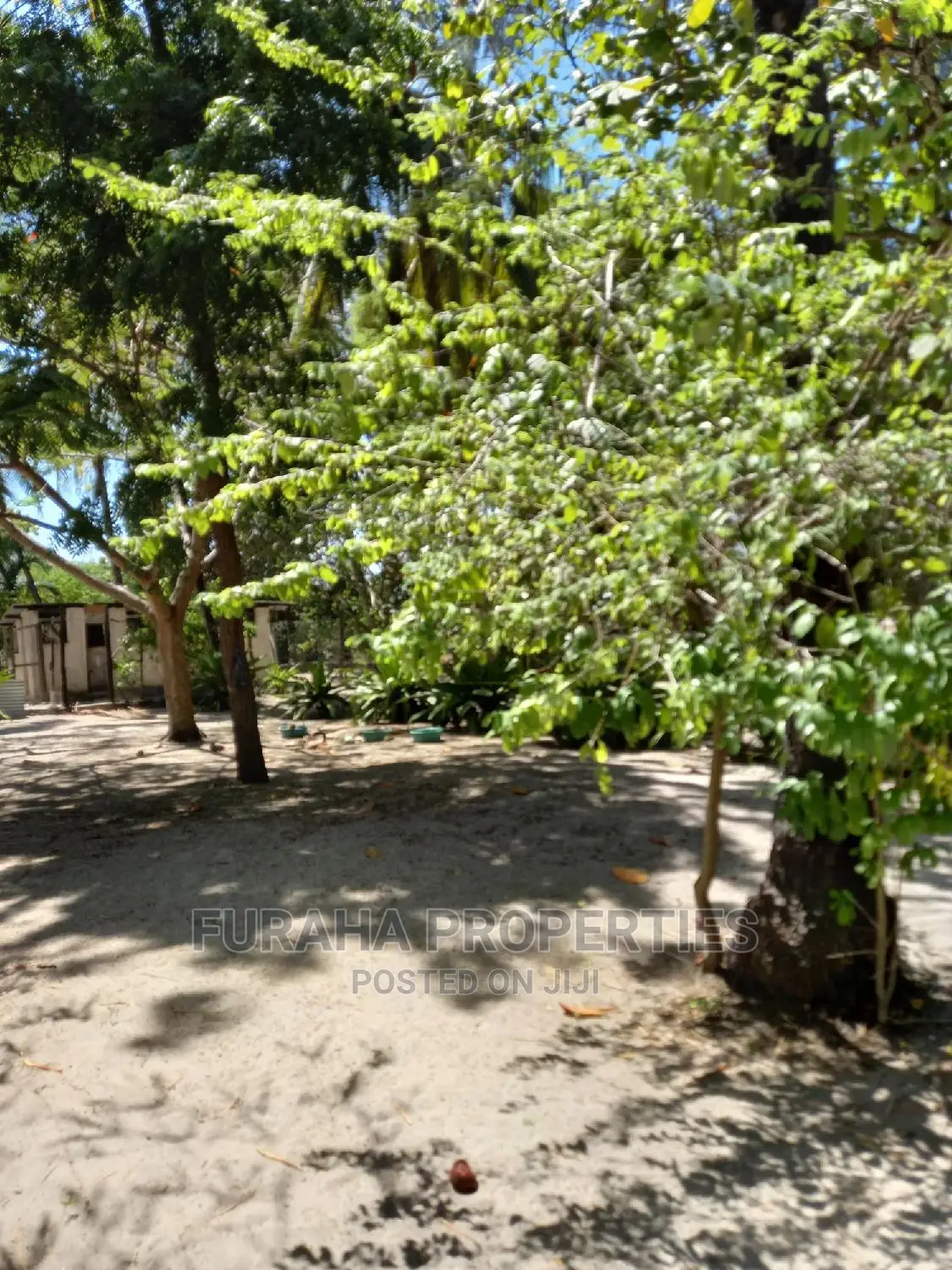 3 Bedrooms Bungalow for Sale