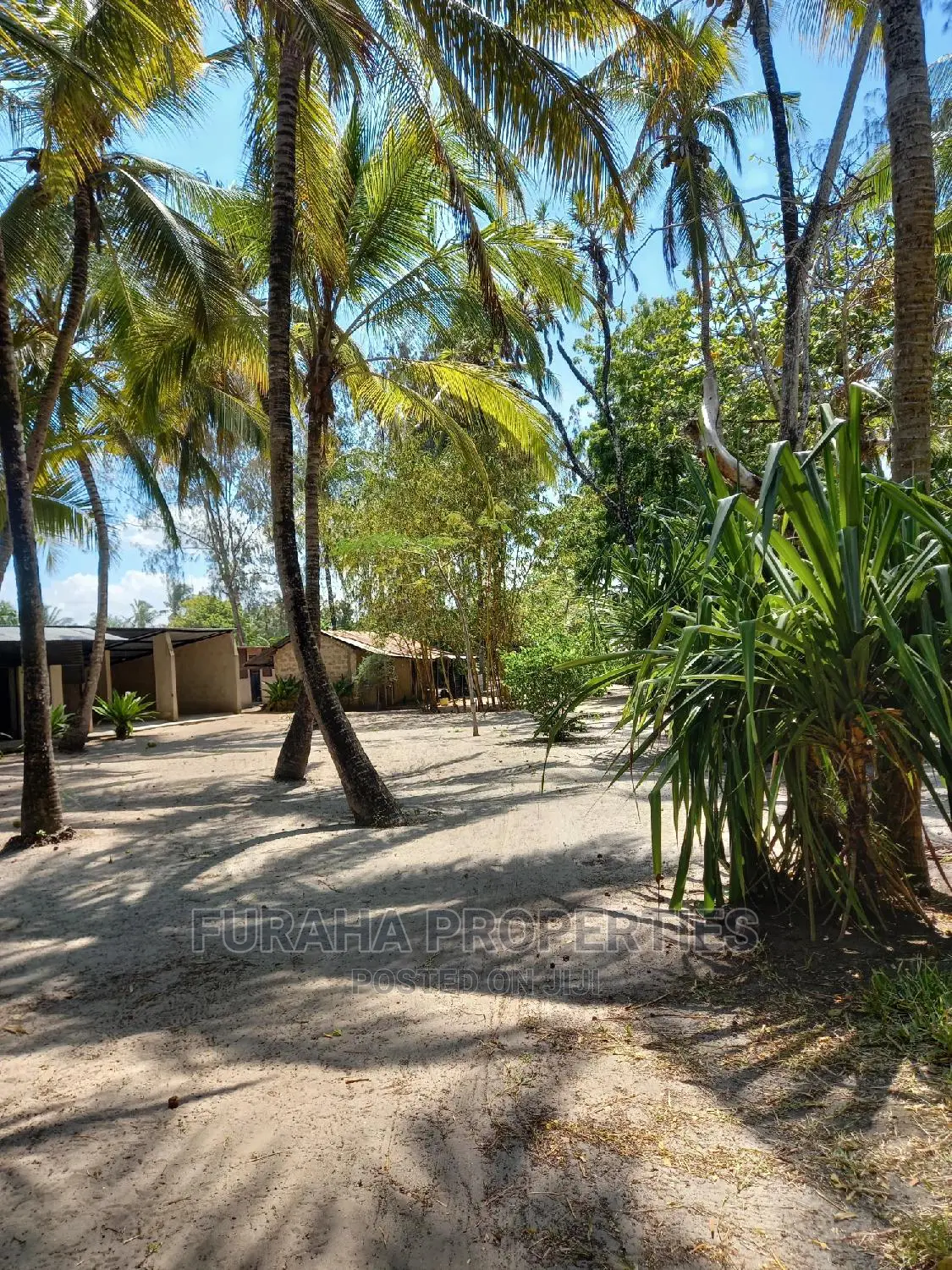 3 Bedrooms Bungalow for Sale