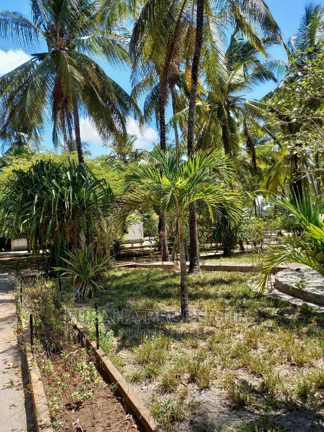 3 Bedrooms Bungalow for Sale