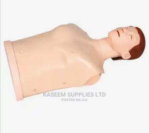 Half Body Training Mankin - thumbnail 2