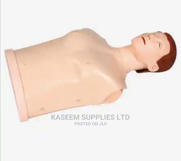 Half Body Training Mankin - main view