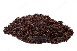 Peat Moss (Sphagnum Moss )