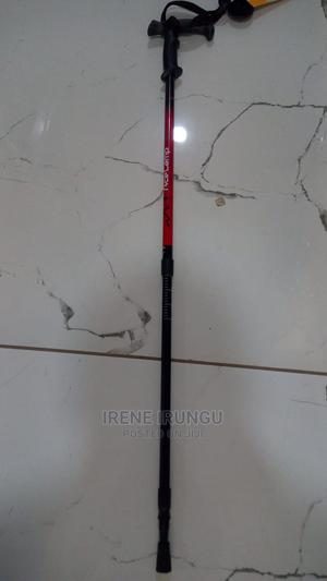 Hiking Stick - thumbnail 2