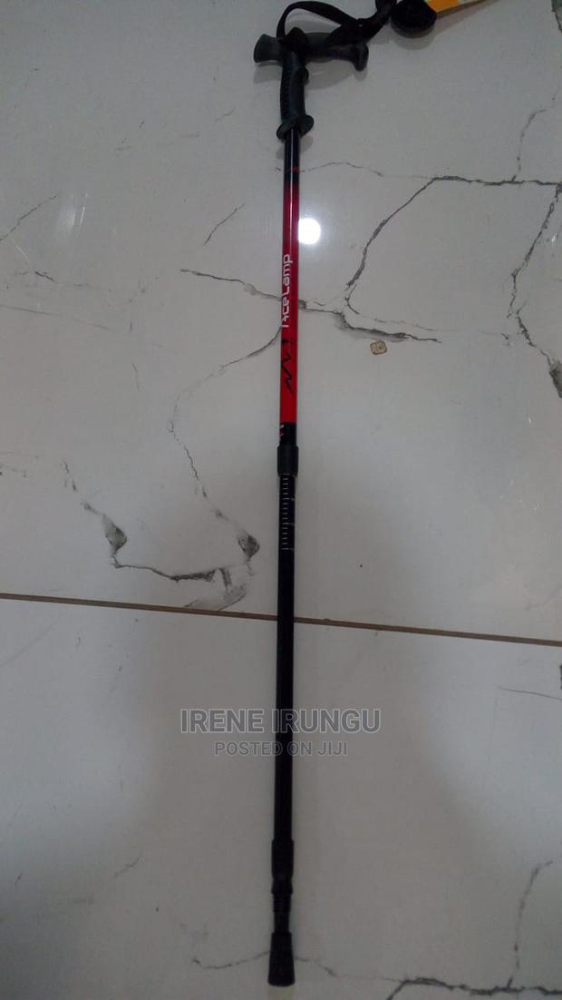 Hiking Stick - main view