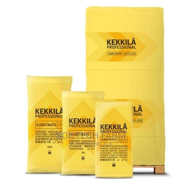 Peat Moss (Sphagnum Moss ) - thumbnail 5