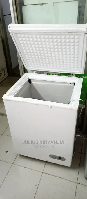100L Freezer