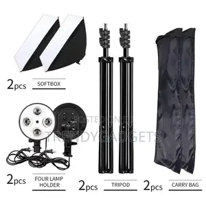 2 Pieces Umbrella Softbox Light