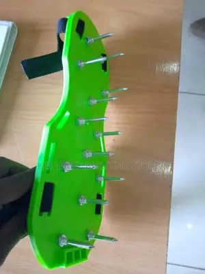 Spiked Shoes