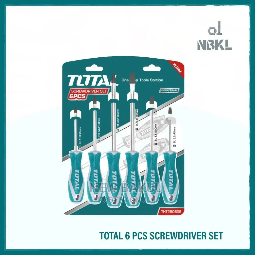 Total 6 Pcs Screwdriver Set