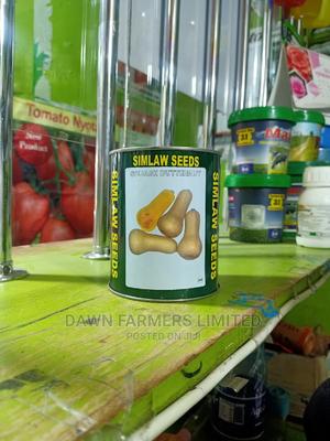 Squash Butternut 250G - main view