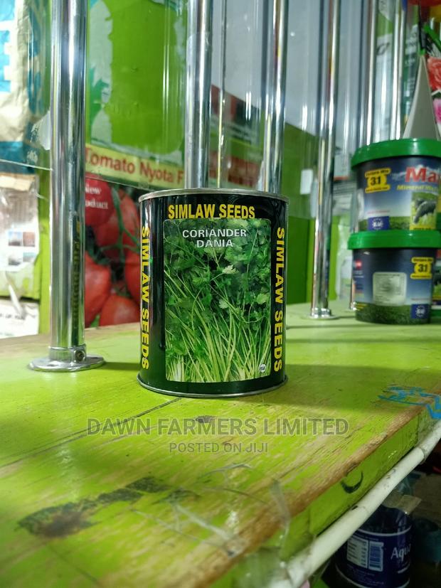 Coriander Dania 250G