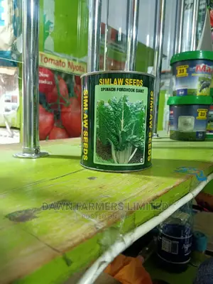 Spinach Fordhook Giant 250G