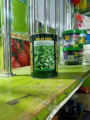 Kunde Mboga Cowpeas 500G