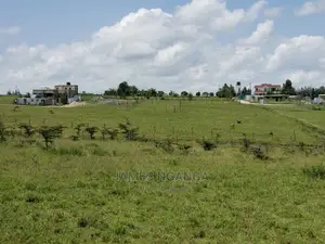 3 Prime Plots Located in Prime Area in Kitengela, Acacia Est