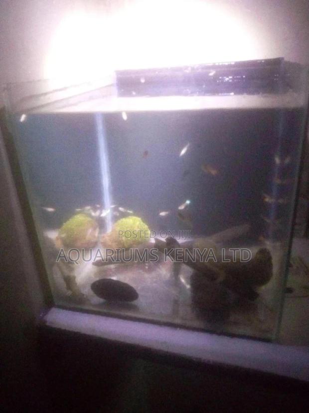Aquarium Tank on Sale - main view