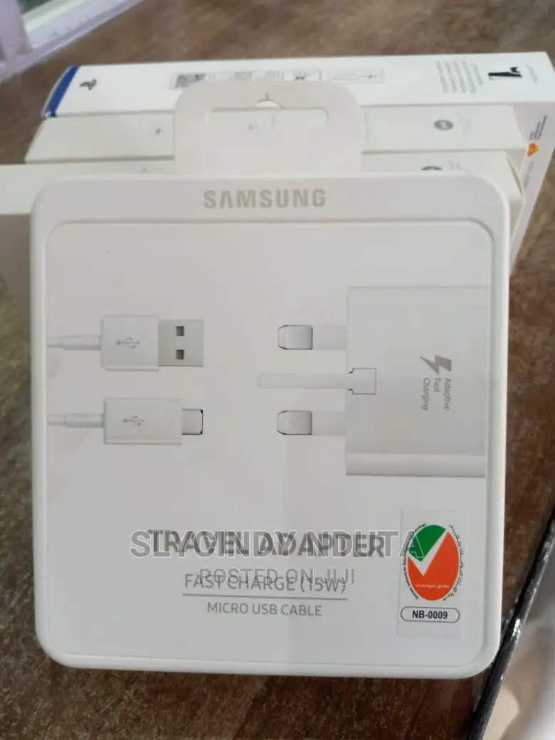 Samsung Travel Adapter