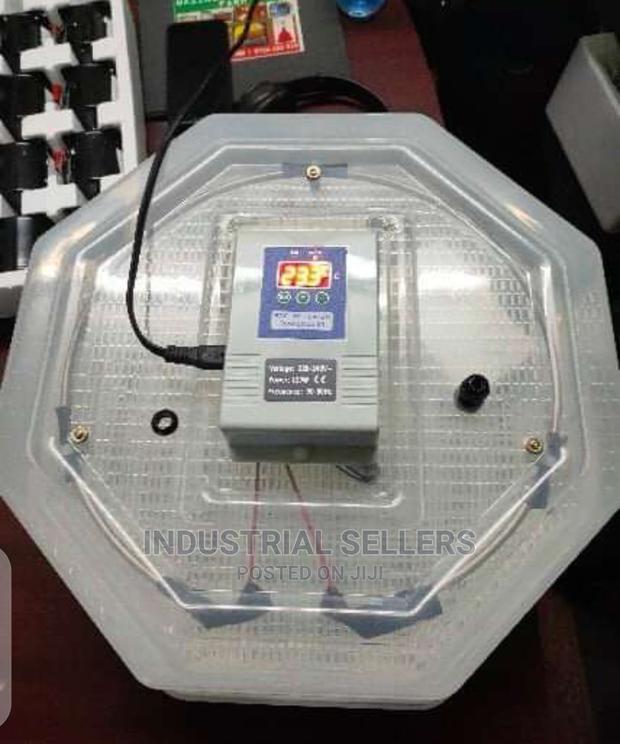 High Durable 60 Egg Incubator - main view