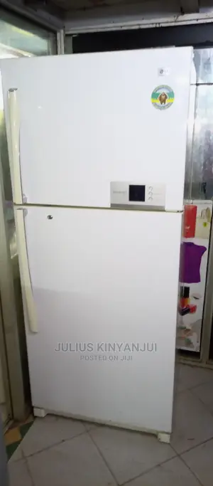 LG Fridge Double Door