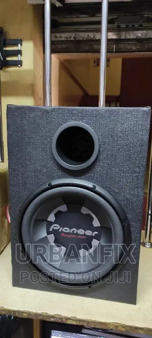 Pioneer Champion Series 1400watts With Cabinet