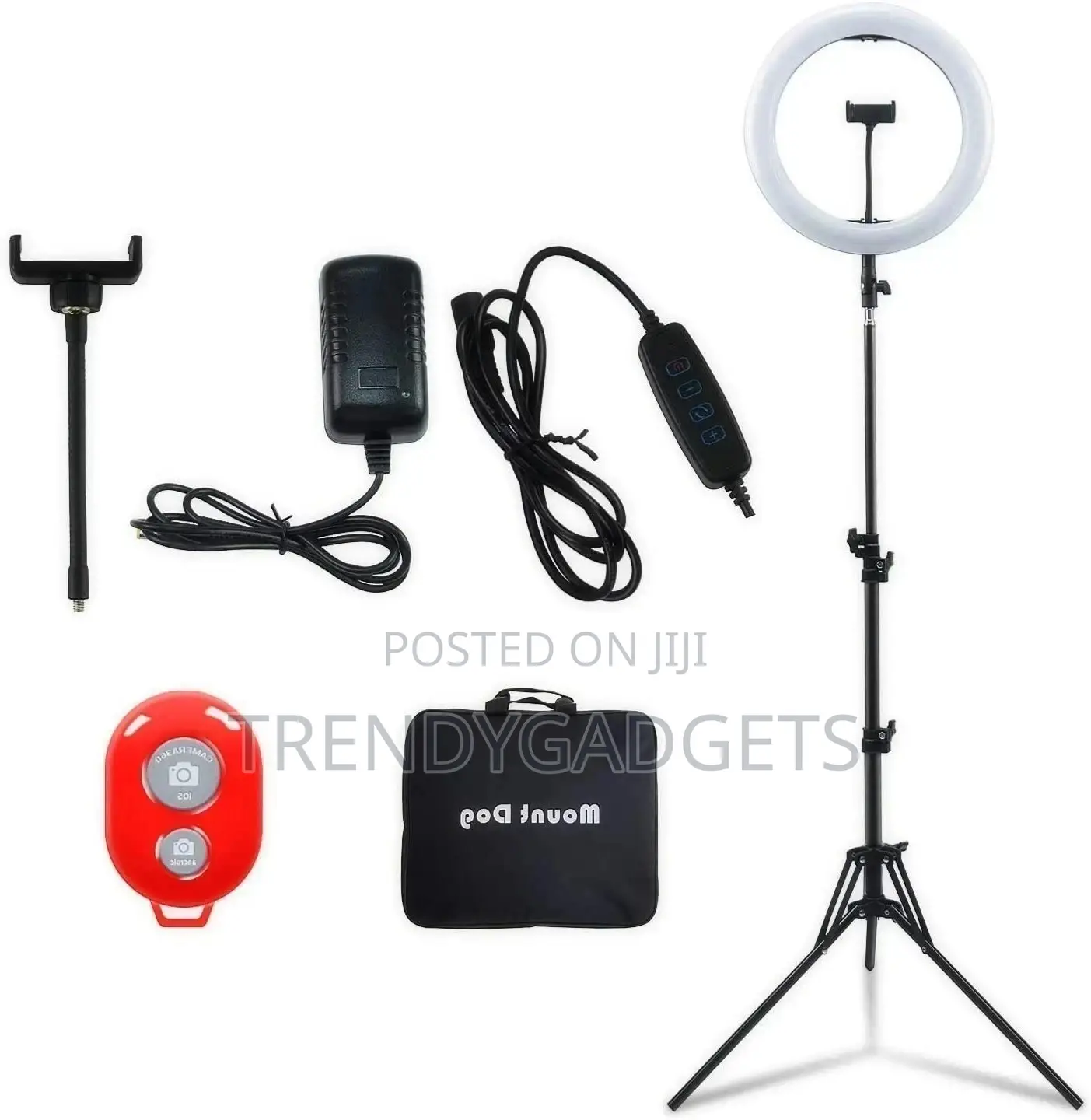 10 Inches Big LED Ring Light for Camera With Remote