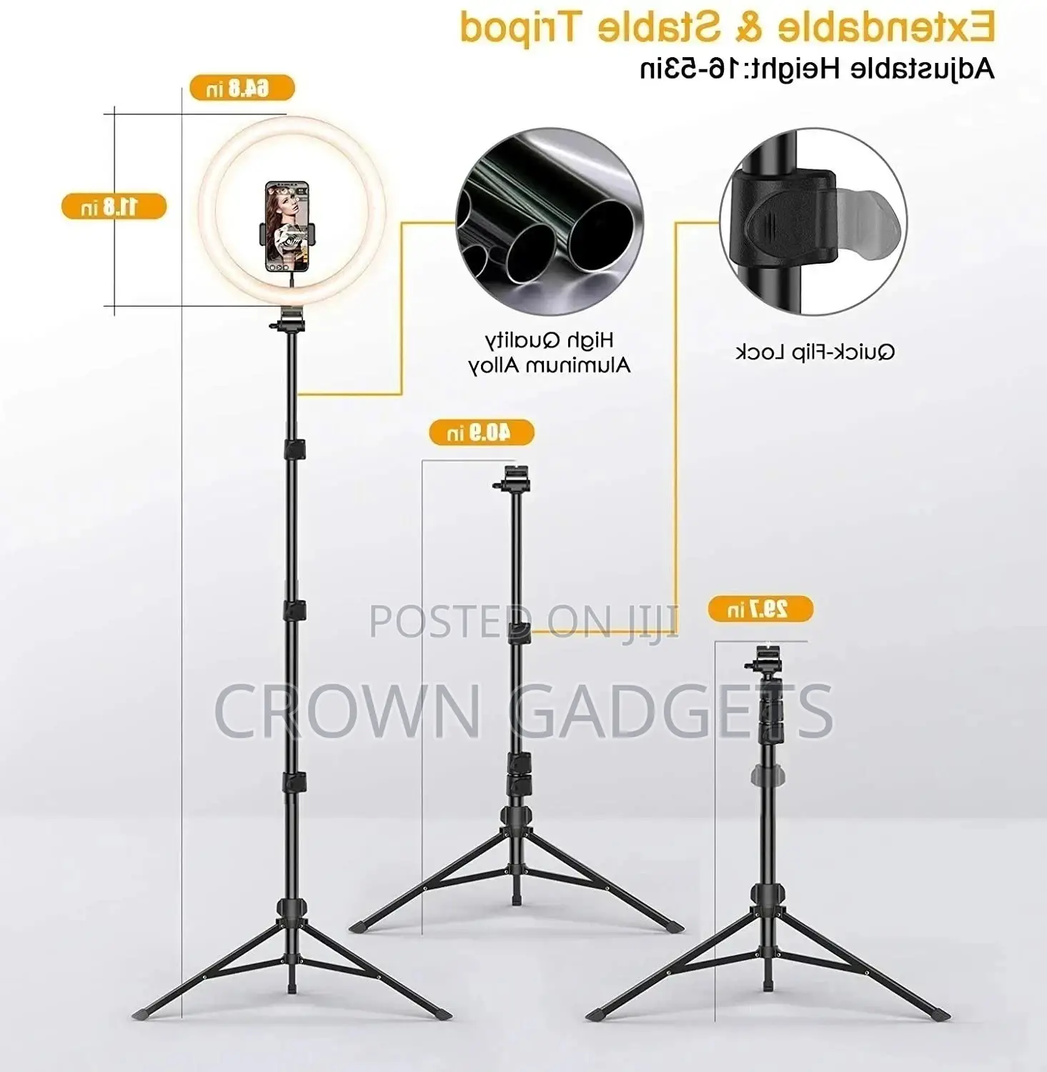 10 Inch Ring Light With Stand Tripod and Remote