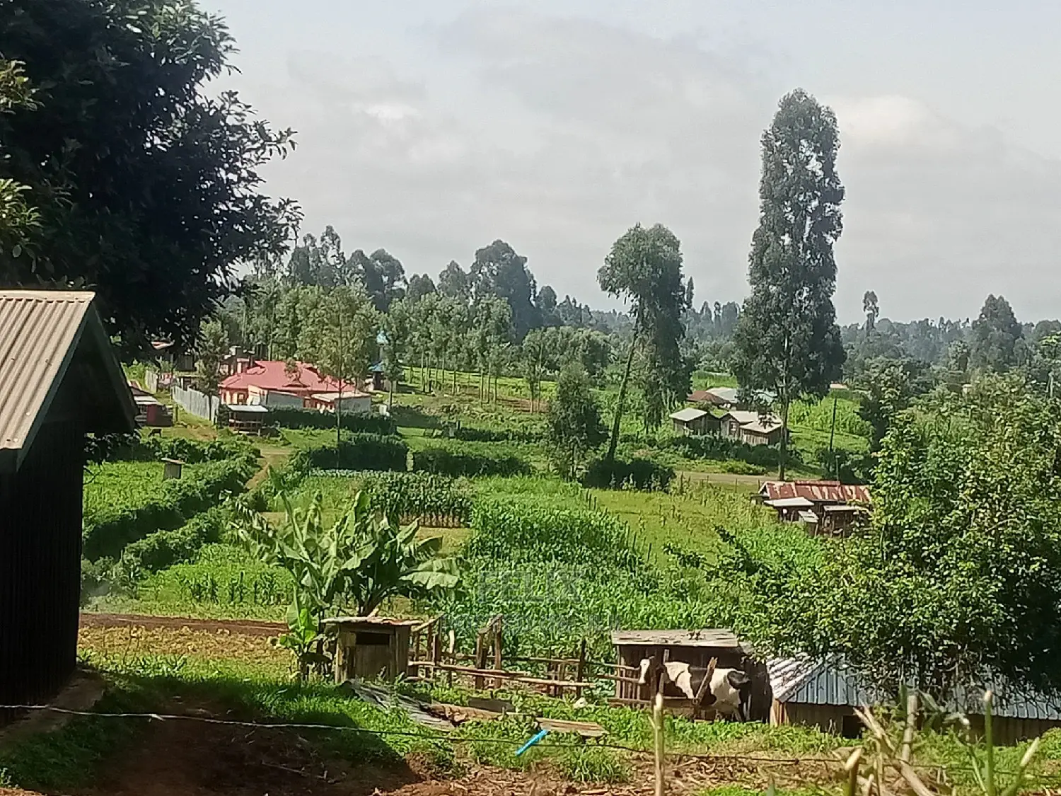 Prime Plots in Karatina With Ready Title Deeds