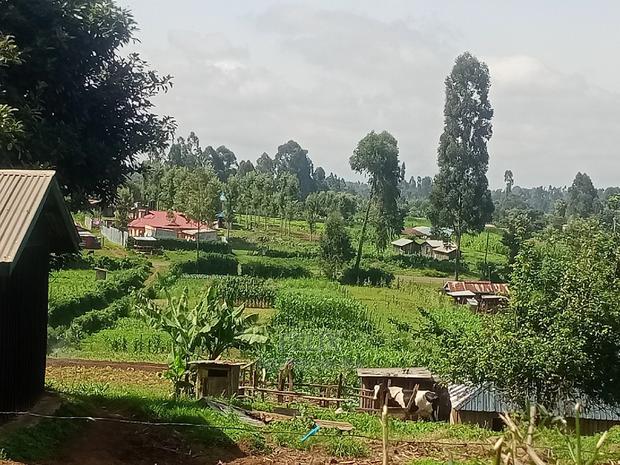 Prime Plots in Karatina With Ready Title Deeds - thumbnail 3
