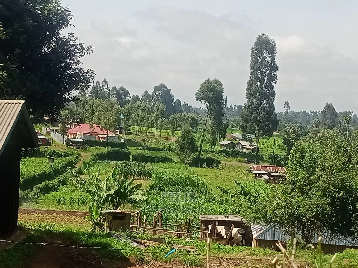 Prime Plots in Karatina With Ready Title Deeds
