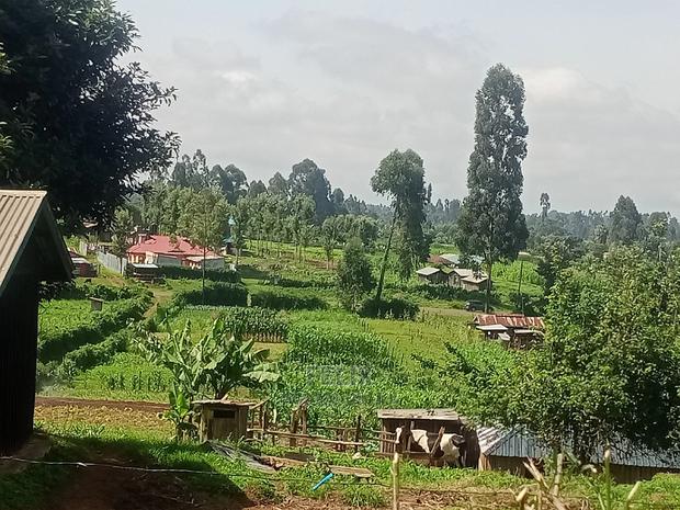 Prime Plots in Karatina With Ready Title Deeds - thumbnail 4