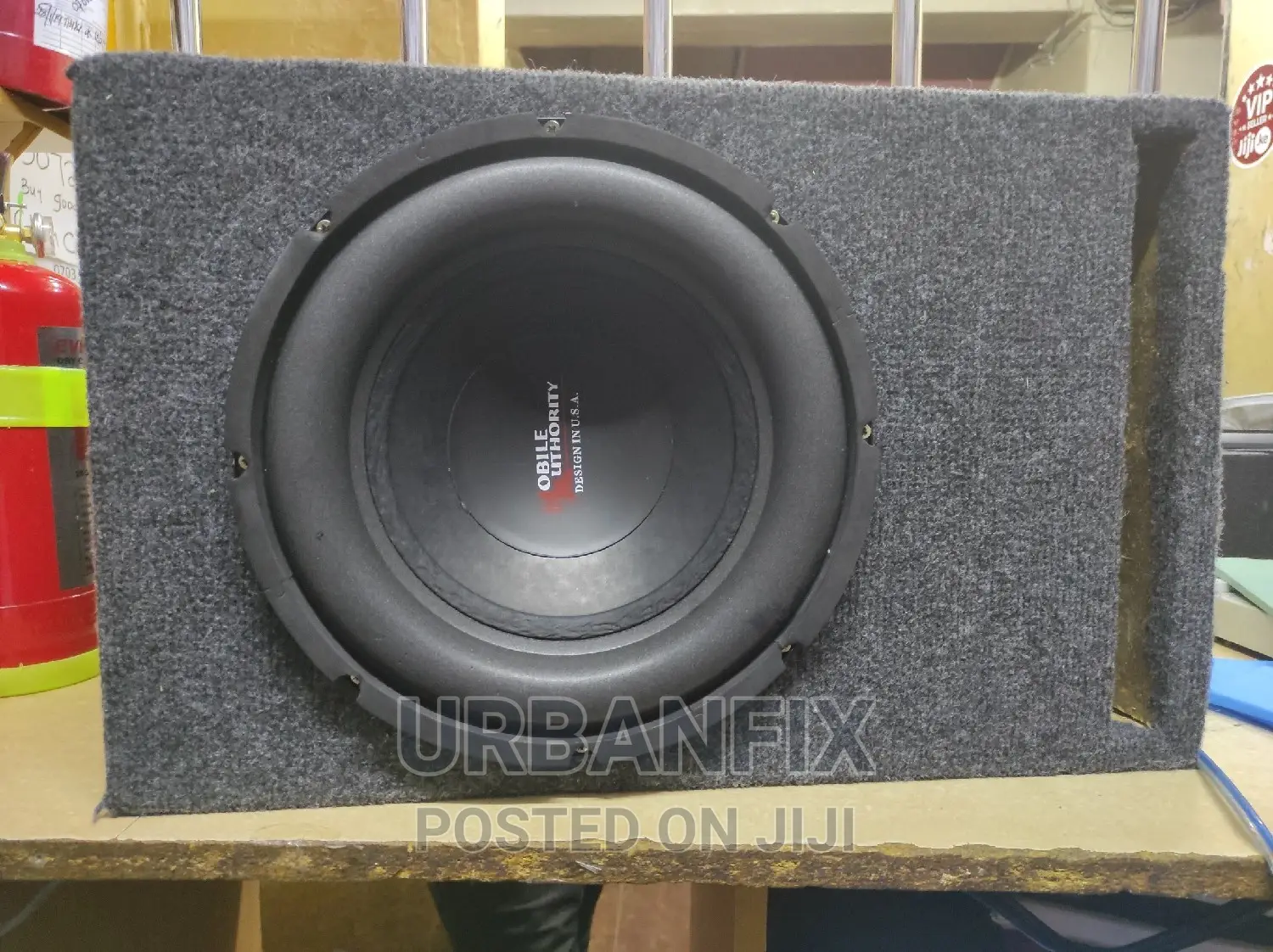 10 Inch Double Magnet Subwoofer With Cabinet