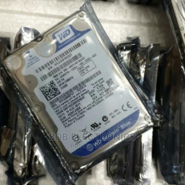 320gb Hard Disk for Data Storage - main view