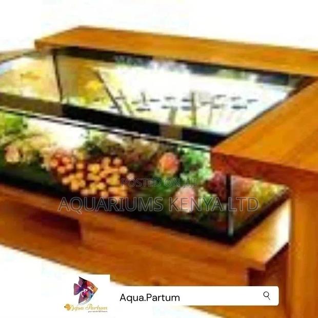 Table Fish Aquarium - main view