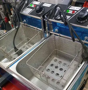 Portable Double Deep Fryer
