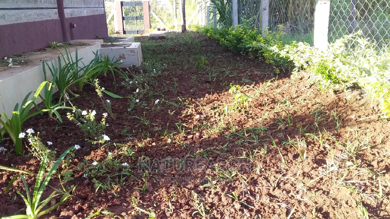 Landscape Services and Cabro Works