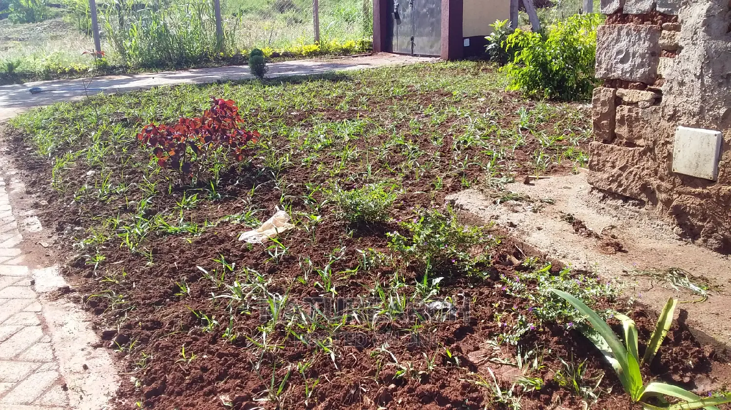 Landscape Services and Cabro Works
