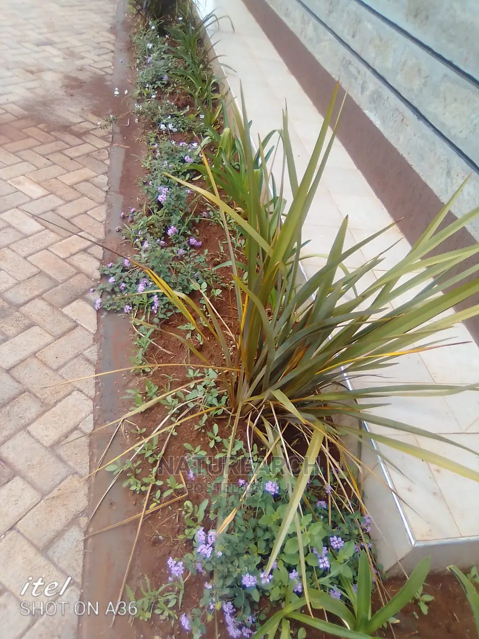 Landscape Services and Cabro Works