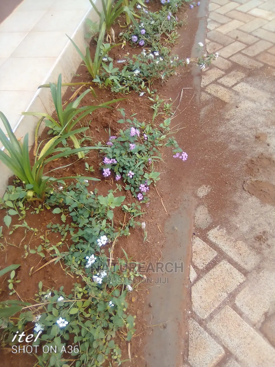 Landscape Services and Cabro Works