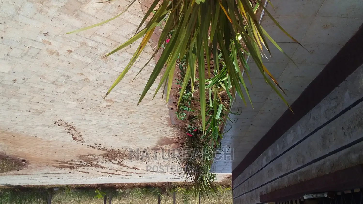 Landscape Services and Cabro Works