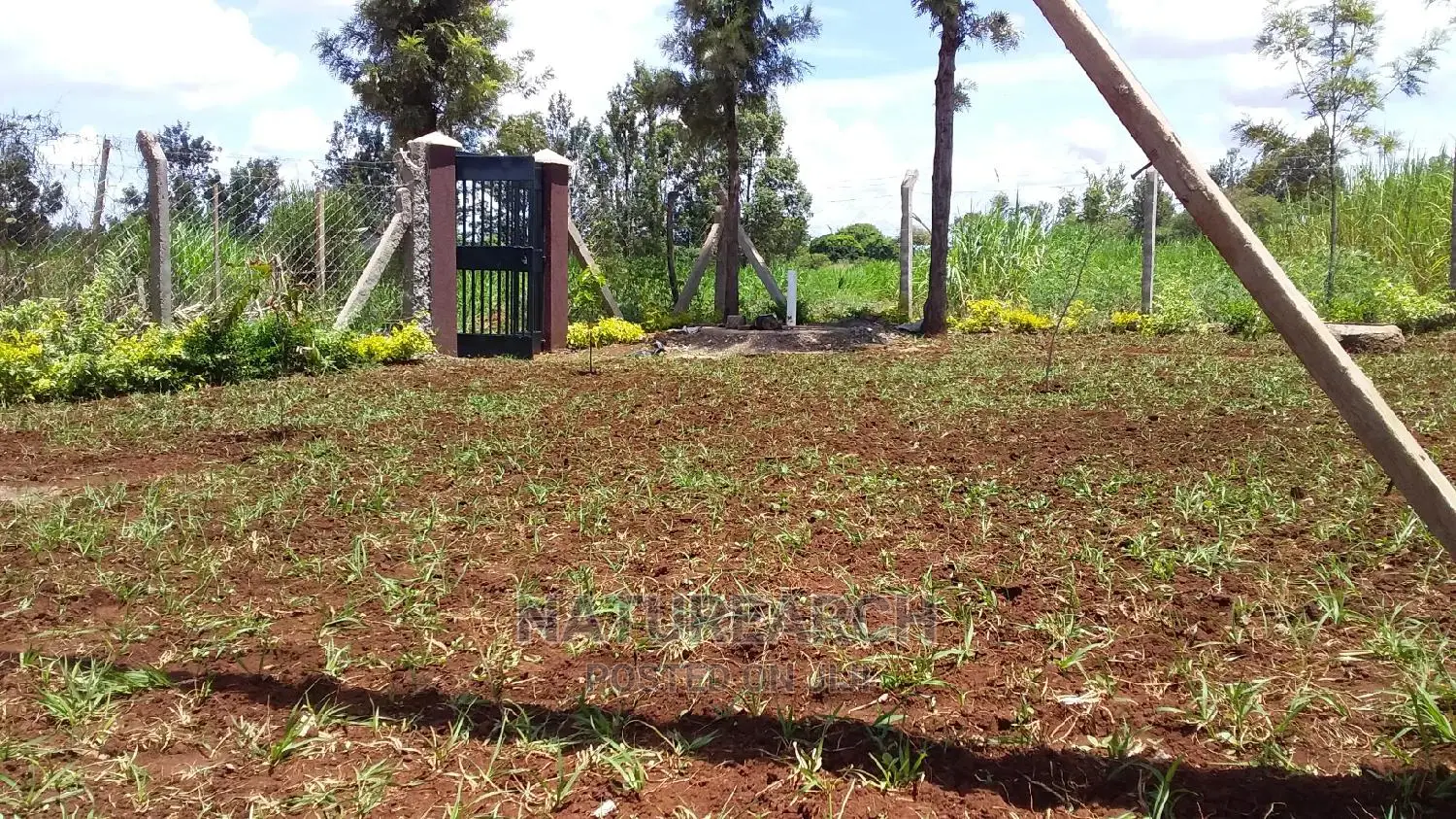 Landscape Services and Cabro Works