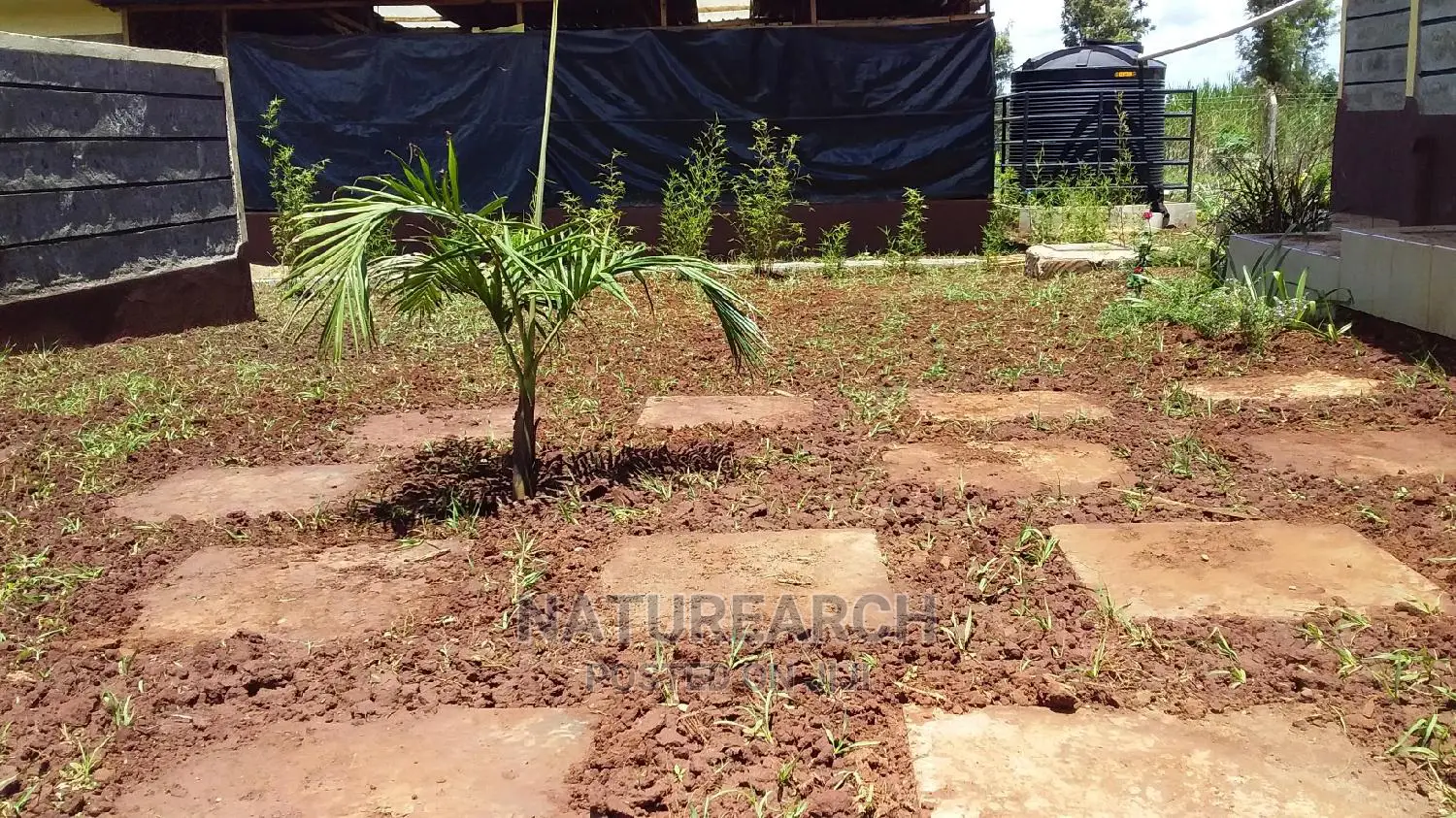 Landscape Services and Cabro Works