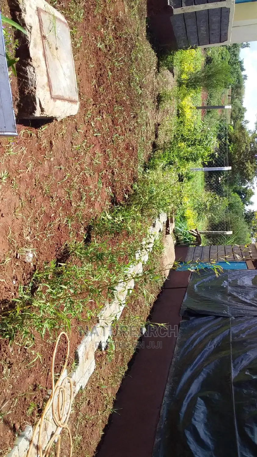 Landscape Services and Cabro Works