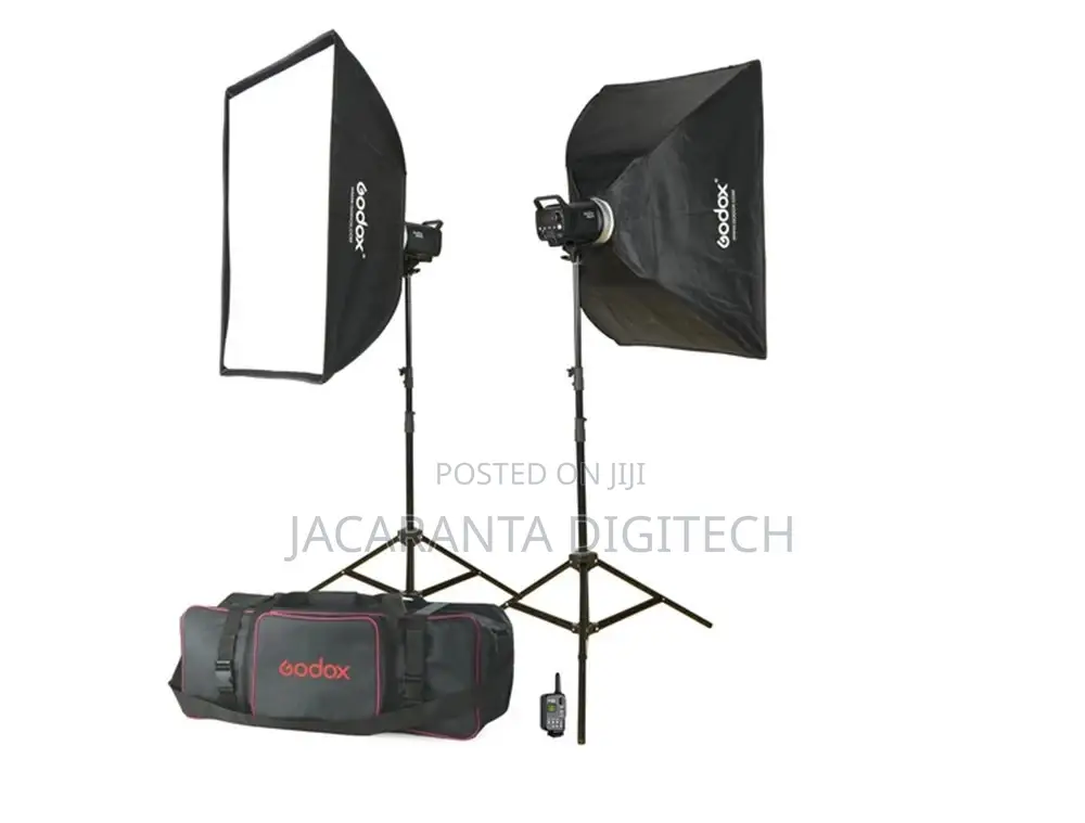Godox MS300 Studio Light Kit